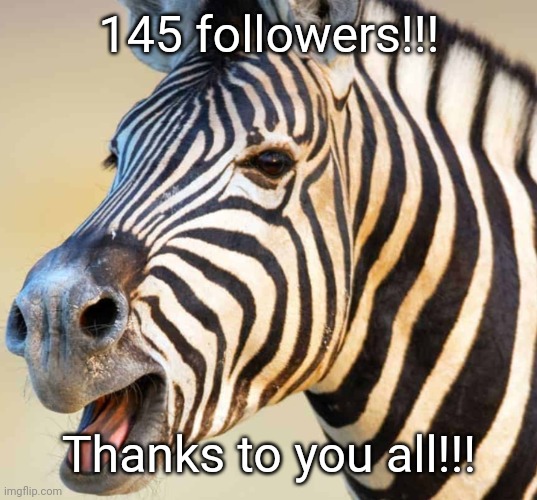 Happy Zebra | 145 followers!!! Thanks to you all!!! | image tagged in happy zebra | made w/ Imgflip meme maker