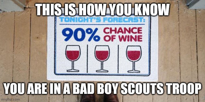 Wine | THIS IS HOW YOU KNOW; YOU ARE IN A BAD BOY SCOUTS TROOP | image tagged in wine | made w/ Imgflip meme maker