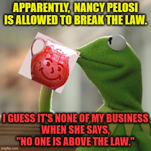 But That's None Of My Business | APPARENTLY,  NANCY PELOSI
IS ALLOWED TO BREAK THE LAW. I GUESS IT'S NONE OF MY BUSINESS
WHEN SHE SAYS, "NO ONE IS ABOVE THE LAW." | image tagged in but that's none of my business,msm lies,cnn fake news,nancy pelosi is crazy,wake up,trump 2020 | made w/ Imgflip meme maker