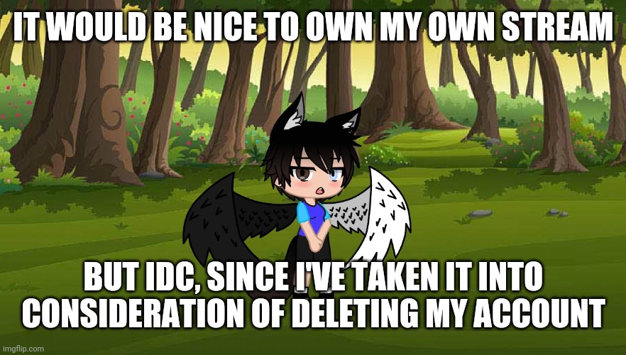 IT WOULD BE NICE TO OWN MY OWN STREAM; BUT IDC, SINCE I'VE TAKEN IT INTO CONSIDERATION OF DELETING MY ACCOUNT | made w/ Imgflip meme maker