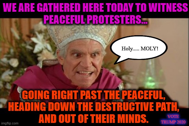 Space balls priest  | WE ARE GATHERED HERE TODAY TO WITNESS
PEACEFUL PROTESTERS... Holy..... MOLY! GOING RIGHT PAST THE PEACEFUL,
HEADING DOWN THE DESTRUCTIVE PATH,
AND OUT OF THEIR MINDS. VOTE
TRUMP 2020 | image tagged in space balls priest,msm lies,cnn fake news,protesters,wake up,trump 2020 | made w/ Imgflip meme maker