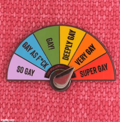 Very gay pin | image tagged in very gay pin | made w/ Imgflip meme maker