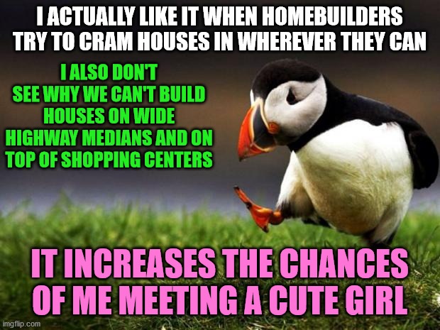 Unpopular Opinion Puffin | I ACTUALLY LIKE IT WHEN HOMEBUILDERS TRY TO CRAM HOUSES IN WHEREVER THEY CAN; I ALSO DON'T SEE WHY WE CAN'T BUILD HOUSES ON WIDE HIGHWAY MEDIANS AND ON TOP OF SHOPPING CENTERS; IT INCREASES THE CHANCES OF ME MEETING A CUTE GIRL | image tagged in memes,unpopular opinion puffin,houses,home,build,girl | made w/ Imgflip meme maker