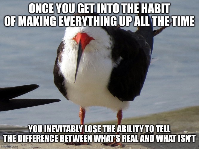 Even Less Popular Opinion Bird | ONCE YOU GET INTO THE HABIT OF MAKING EVERYTHING UP ALL THE TIME; YOU INEVITABLY LOSE THE ABILITY TO TELL THE DIFFERENCE BETWEEN WHAT’S REAL AND WHAT ISN’T | image tagged in even less popular opinion bird | made w/ Imgflip meme maker