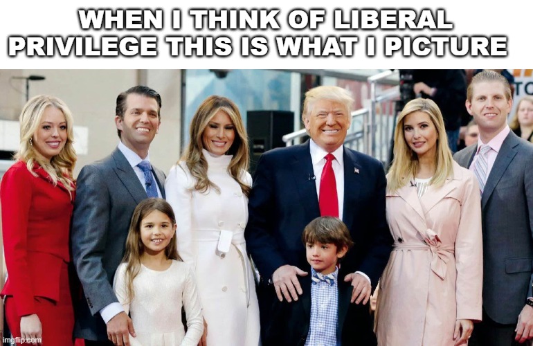 liberals | WHEN I THINK OF LIBERAL PRIVILEGE THIS IS WHAT I PICTURE | image tagged in donald trump | made w/ Imgflip meme maker