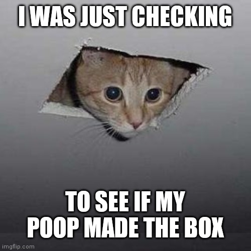 Ceiling Cat Meme | I WAS JUST CHECKING; TO SEE IF MY POOP MADE THE BOX | image tagged in memes,ceiling cat | made w/ Imgflip meme maker