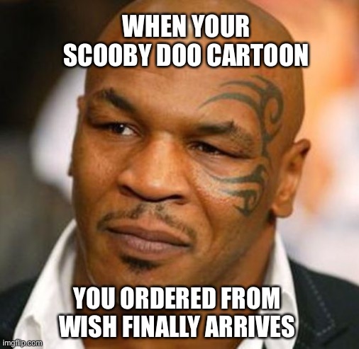 Disappointed Tyson Meme | WHEN YOUR SCOOBY DOO CARTOON YOU ORDERED FROM WISH FINALLY ARRIVES | image tagged in memes,disappointed tyson | made w/ Imgflip meme maker