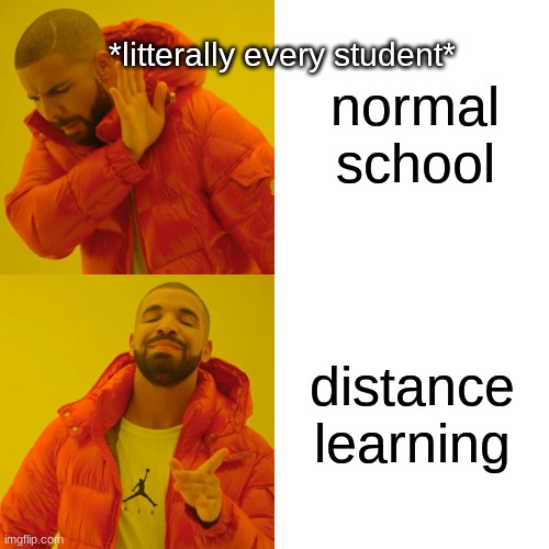 Drake Hotline Bling Meme |  normal school; *litterally every student*; distance learning | image tagged in memes,drake hotline bling | made w/ Imgflip meme maker