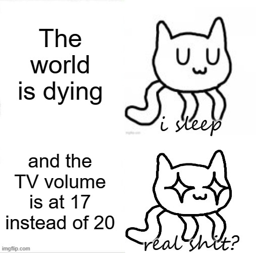 Sleeping UwU Cat | The world is dying; and the TV volume is at 17 instead of 20 | image tagged in sleeping uwu cat,tv volume,relatable,uwu | made w/ Imgflip meme maker