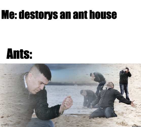 ants | Me: destorys an ant house; Ants: | image tagged in guy with sand in the hands of despair | made w/ Imgflip meme maker