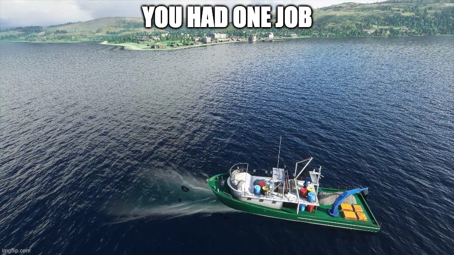 4dn6zt.jpg