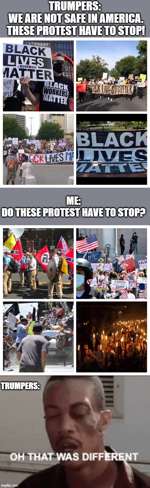 no more protest | TRUMPERS: 
WE ARE NOT SAFE IN AMERICA.
THESE PROTEST HAVE TO STOP! ME:
DO THESE PROTEST HAVE TO STOP? TRUMPERS: | image tagged in trump supporters,blm | made w/ Imgflip meme maker