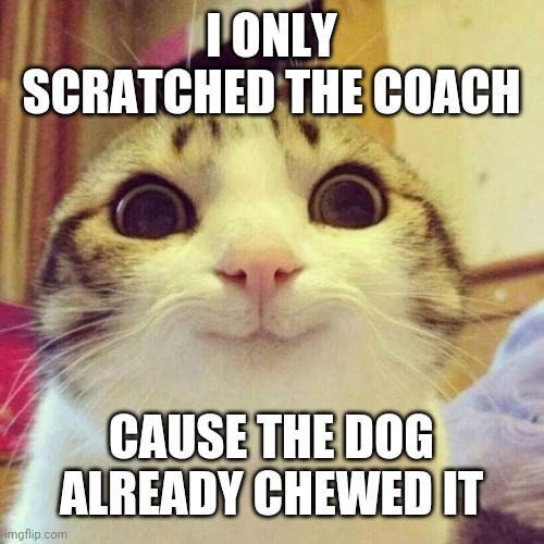 Smiling Cat Meme | I ONLY SCRATCHED THE COACH; CAUSE THE DOG ALREADY CHEWED IT | image tagged in memes,smiling cat | made w/ Imgflip meme maker