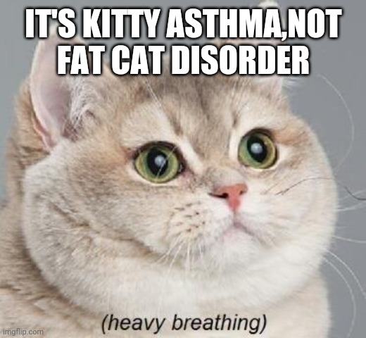 Heavy Breathing Cat Meme | IT'S KITTY ASTHMA,NOT FAT CAT DISORDER | image tagged in memes,heavy breathing cat | made w/ Imgflip meme maker