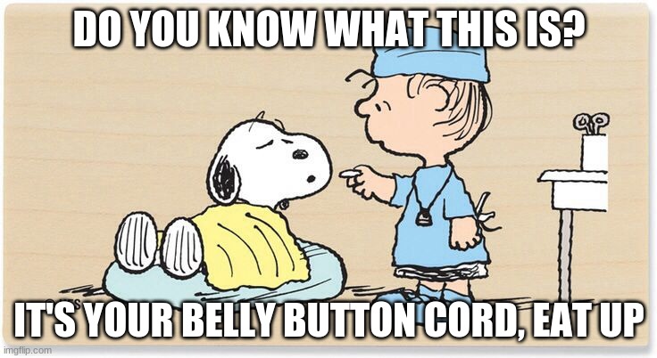 Get well soon | DO YOU KNOW WHAT THIS IS? IT'S YOUR BELLY BUTTON CORD, EAT UP | image tagged in get well soon | made w/ Imgflip meme maker