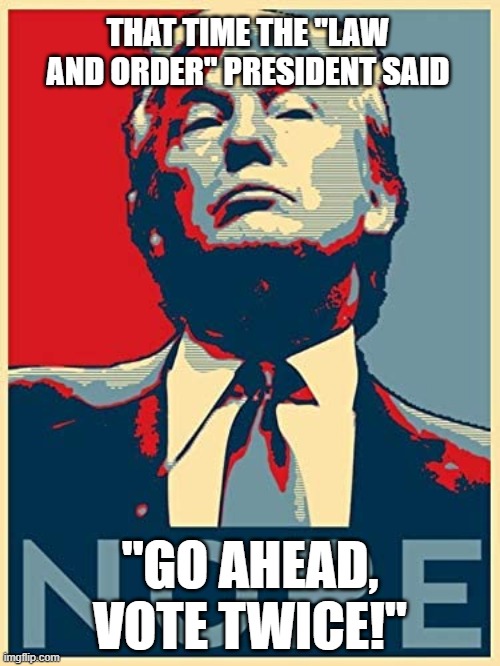 Test the system, break the law, break the system, break the election | THAT TIME THE "LAW AND ORDER" PRESIDENT SAID; "GO AHEAD,
VOTE TWICE!" | image tagged in memes,trump,nope,vote twice,law and order | made w/ Imgflip meme maker