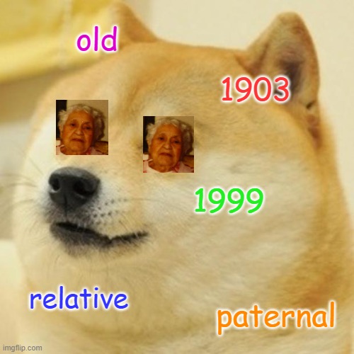 18050205030301 Old Lady Decal | old; 1903; 1999; relative; paternal | image tagged in memes,doge,grandma,great,relatives,old | made w/ Imgflip meme maker