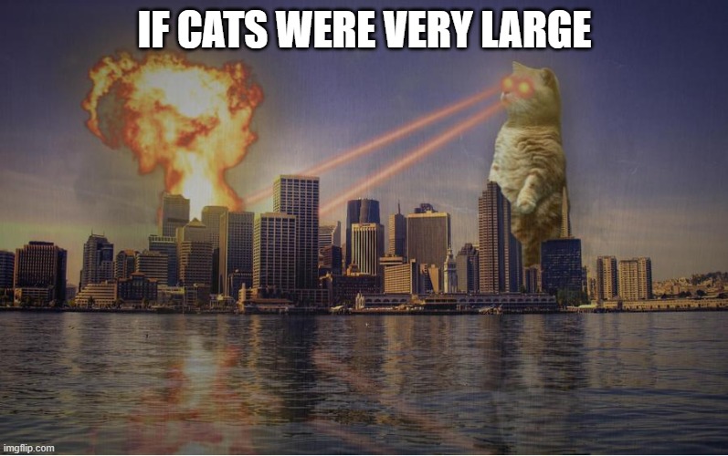 if cats were very large | IF CATS WERE VERY LARGE | image tagged in cat destroying city,cat,city,memes,funny | made w/ Imgflip meme maker