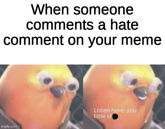 Haters gonna Hate                                             And then pay for it | When someone comments a hate comment on your meme | image tagged in listen here you little shit bird | made w/ Imgflip meme maker