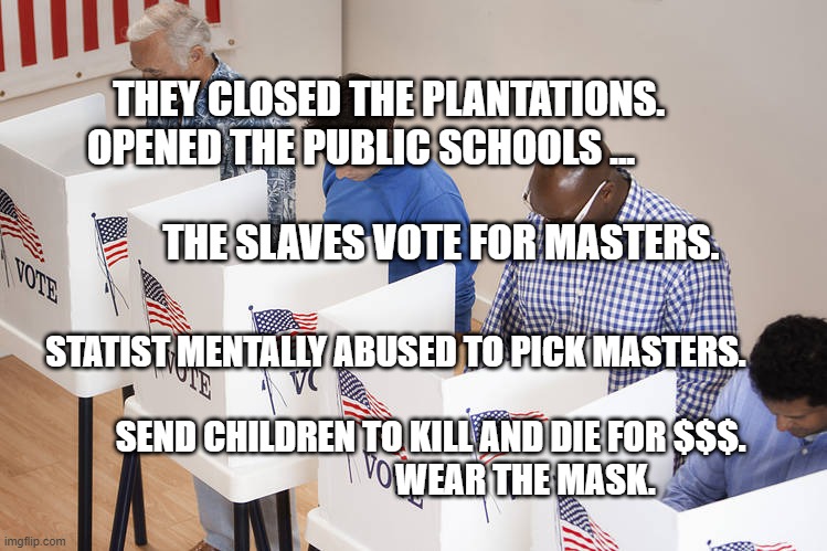 Voters | THEY CLOSED THE PLANTATIONS.  OPENED THE PUBLIC SCHOOLS ...                                                           THE SLAVES VOTE FOR MASTERS. STATIST MENTALLY ABUSED TO PICK MASTERS.                                       
           SEND CHILDREN TO KILL AND DIE FOR $$$.                                        WEAR THE MASK. | image tagged in voters | made w/ Imgflip meme maker