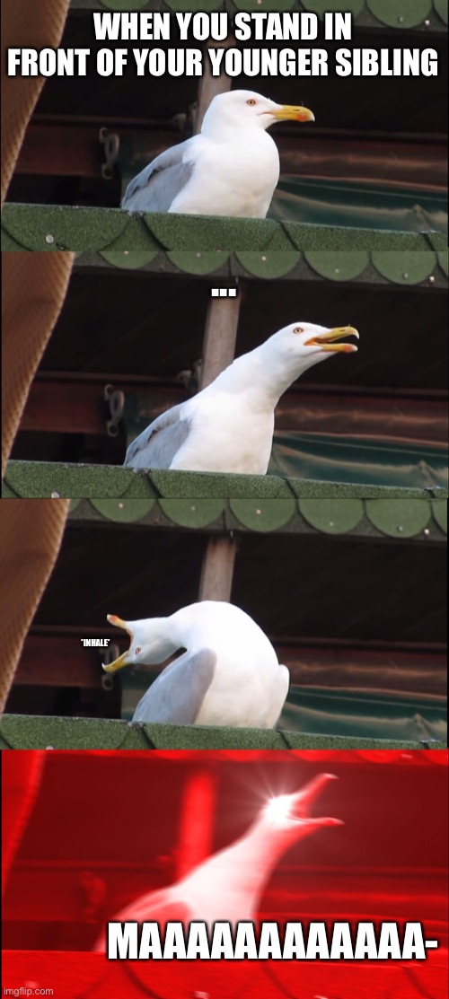 Relatable if you have a sibling | WHEN YOU STAND IN FRONT OF YOUR YOUNGER SIBLING; ... *INHALE*; MAAAAAAAAAAAA- | image tagged in memes,inhaling seagull | made w/ Imgflip meme maker