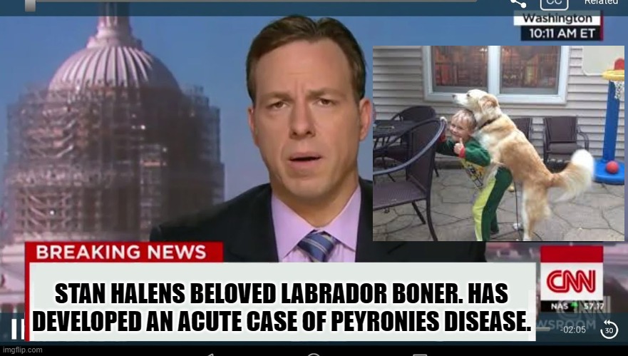 PEYRONIES DISEASE causes a bend in penises and is apparently quite uncomfortable. Please enjoy this Stanhalen inspired meme. | STAN HALENS BELOVED LABRADOR BONER. HAS DEVELOPED AN ACUTE CASE OF PEYRONIES DISEASE. | image tagged in stan halen,cnn fake news,peyronies disease | made w/ Imgflip meme maker