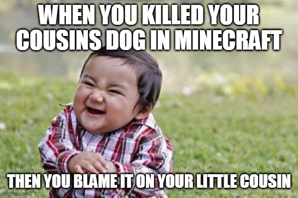 Minecraft | WHEN YOU KILLED YOUR COUSINS DOG IN MINECRAFT; THEN YOU BLAME IT ON YOUR LITTLE COUSIN | image tagged in memes,evil toddler | made w/ Imgflip meme maker