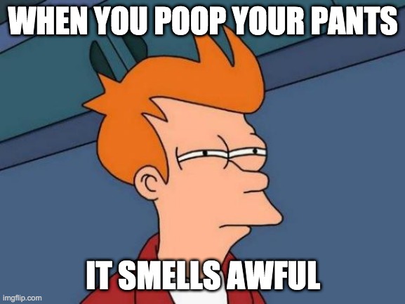 Pooping your pants | WHEN YOU POOP YOUR PANTS; IT SMELLS AWFUL | image tagged in memes,futurama fry | made w/ Imgflip meme maker