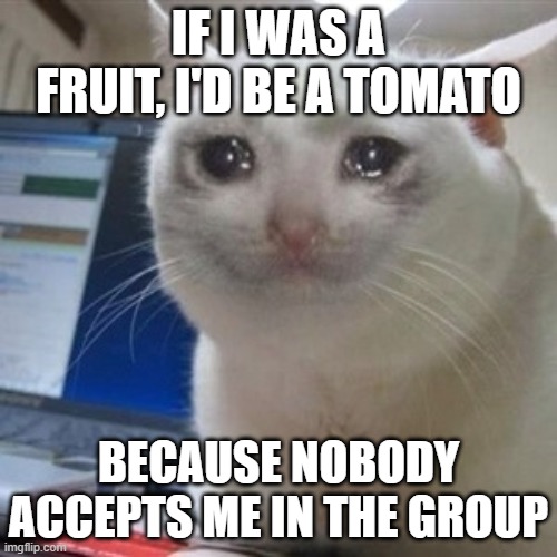 Crying cat | IF I WAS A FRUIT, I'D BE A TOMATO; BECAUSE NOBODY ACCEPTS ME IN THE GROUP | image tagged in crying cat | made w/ Imgflip meme maker