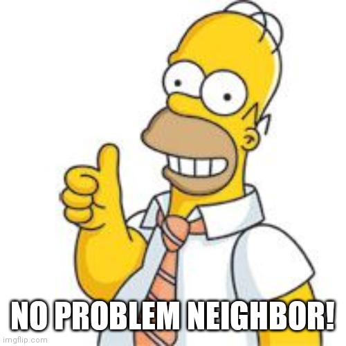 homer no problemo | NO PROBLEM NEIGHBOR! | image tagged in homer no problemo | made w/ Imgflip meme maker