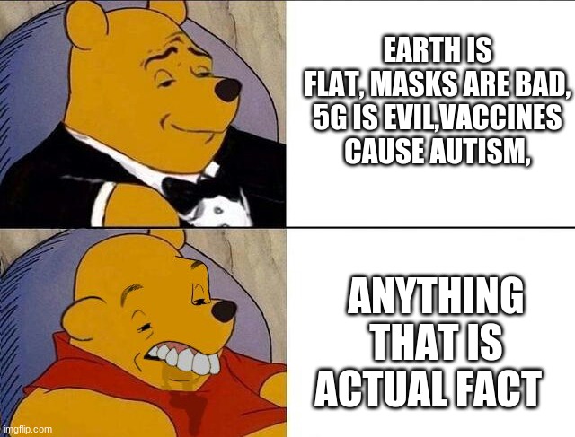 tHaT's hOw lIfE iS!!!!1!!1!! | EARTH IS FLAT, MASKS ARE BAD, 5G IS EVIL,VACCINES CAUSE AUTISM, ANYTHING THAT IS ACTUAL FACT | image tagged in tuxedo winnie the pooh grossed reverse | made w/ Imgflip meme maker
