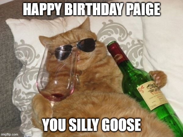 Wine Cat Birthday | HAPPY BIRTHDAY PAIGE; YOU SILLY GOOSE | image tagged in wine cat birthday,birthday,memes,happy birthday,cats,funny cat memes | made w/ Imgflip meme maker