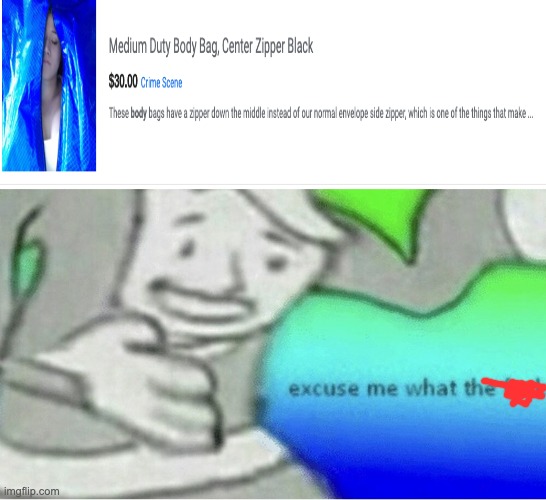 (zoom in) Excuse me what the crap | image tagged in excuse me wtf blank template,why,dead,body,bag | made w/ Imgflip meme maker