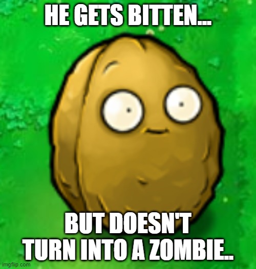 Wall-Nut | HE GETS BITTEN... BUT DOESN'T TURN INTO A ZOMBIE.. | image tagged in wall-nut | made w/ Imgflip meme maker