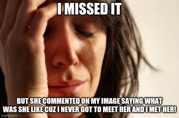 First World Problems | I MISSED IT; BUT SHE COMMENTED ON MY IMAGE SAYING WHAT WAS SHE LIKE CUZ I NEVER GOT TO MEET HER AND I MET HER! | image tagged in memes,first world problems | made w/ Imgflip meme maker