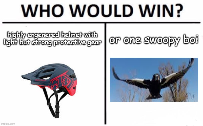 only aussies can relate | highly engenered helmet with light but strong protective gear; or one swoopy boi | image tagged in memes,who would win | made w/ Imgflip meme maker