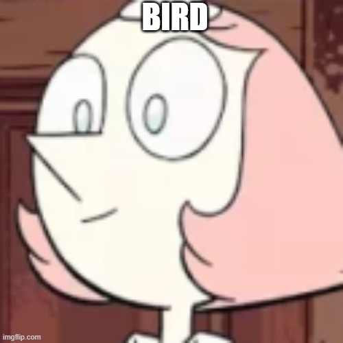 bird. | BIRD | image tagged in steven universe,pearl,bird | made w/ Imgflip meme maker