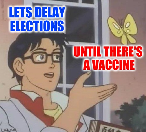 lets delay elections | LETS DELAY ELECTIONS; UNTIL THERE'S 
A VACCINE | image tagged in memes,is this a pigeon | made w/ Imgflip meme maker