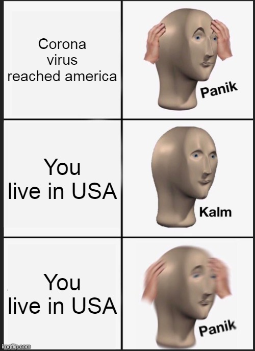 Coron reached usa aka America | Corona virus reached america; You live in USA; You live in USA | image tagged in memes,panik kalm panik | made w/ Imgflip meme maker