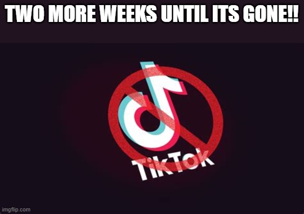 two more weeks bois, two more weeks | TWO MORE WEEKS UNTIL ITS GONE!! | image tagged in tik tok,banned,dank memes,front page,stop reading the tags | made w/ Imgflip meme maker