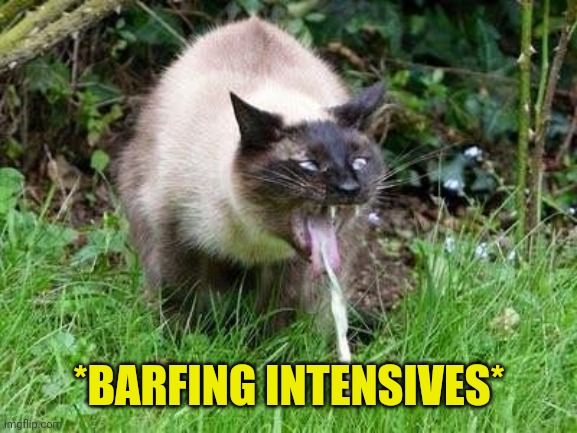 Cat Barfing | *BARFING INTENSIVES* | image tagged in cat barfing | made w/ Imgflip meme maker