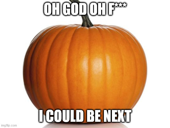 pumpkin | OH GOD OH F*** I COULD BE NEXT | image tagged in pumpkin | made w/ Imgflip meme maker