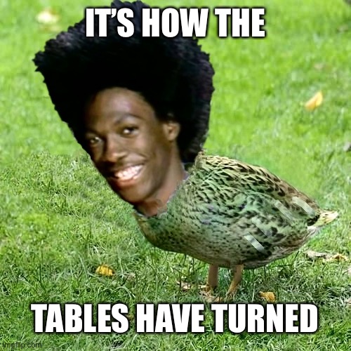 DuckWheat | IT’S HOW THE TABLES HAVE TURNED | image tagged in duckwheat | made w/ Imgflip meme maker