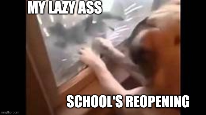 MY LAZY ASS; SCHOOL'S REOPENING | image tagged in school,quarantine mood | made w/ Imgflip meme maker