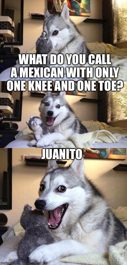 Huh huh | WHAT DO YOU CALL A MEXICAN WITH ONLY ONE KNEE AND ONE TOE? JUANITO | image tagged in memes,bad pun dog | made w/ Imgflip meme maker