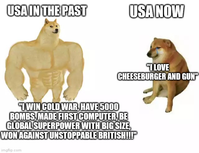 Buff Doge vs. Cheems | USA NOW; USA IN THE PAST; "I LOVE CHEESEBURGER AND GUN"; "I WIN COLD WAR, HAVE 5000 BOMBS, MADE FIRST COMPUTER, BE GLOBAL SUPERPOWER WITH BIG SIZE, WON AGAINST UNSTOPPABLE BRITISH!!!" | image tagged in buff doge vs cheems | made w/ Imgflip meme maker