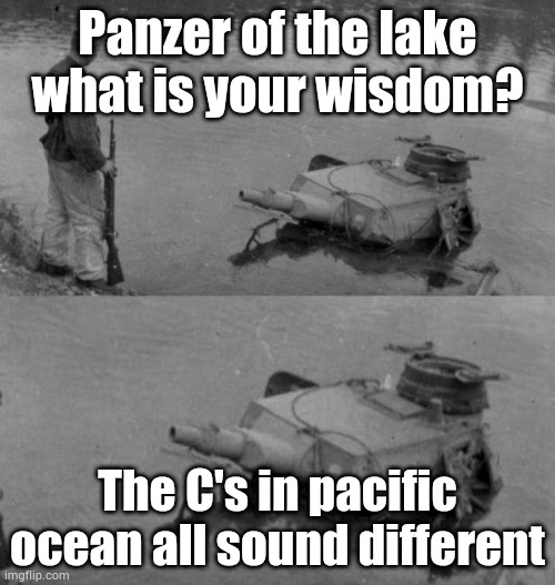 Panzer of the lake | Panzer of the lake what is your wisdom? The C's in pacific ocean all sound different | image tagged in panzer of the lake | made w/ Imgflip meme maker