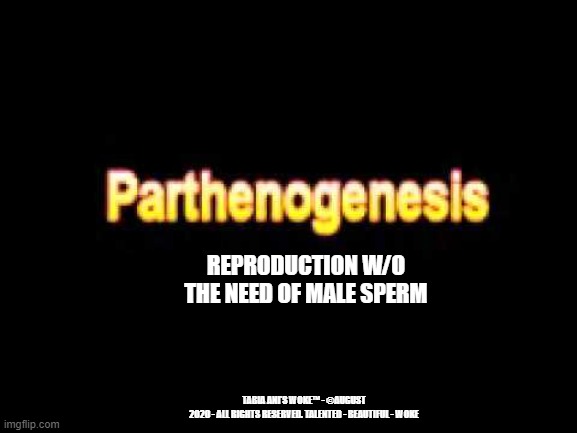 Parthenogenesis | REPRODUCTION W/O THE NEED OF MALE SPERM; TABIA ANI'S WOKE™ - ©AUGUST 2020 - ALL RIGHTS RESERVED. TALENTED - BEAUTIFUL - WOKE | image tagged in virgin,birth | made w/ Imgflip meme maker