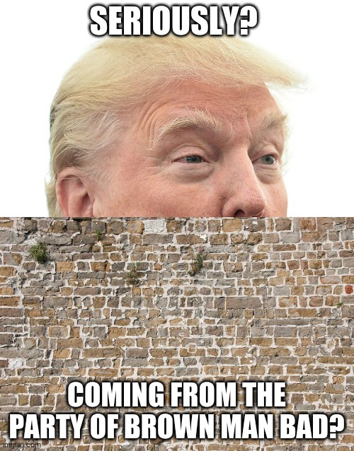 Trump Wall | SERIOUSLY? COMING FROM THE PARTY OF BROWN MAN BAD? | image tagged in trump wall | made w/ Imgflip meme maker