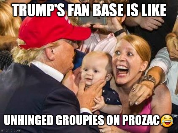 Trumpers on Prozac | TRUMP'S FAN BASE IS LIKE; UNHINGED GROUPIES ON PROZAC😂 | image tagged in trump fan,crazy,trump | made w/ Imgflip meme maker